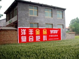 进贤如何让墙体广告展现最大化效果