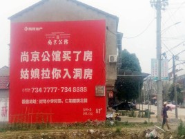进贤墙体广告在乡镇、农村市场的媒体优势