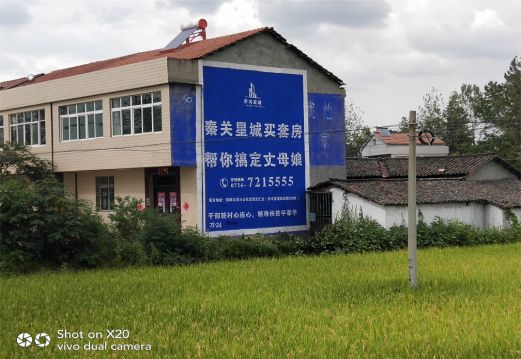 进贤决定墙体广告价格的因素有哪些？