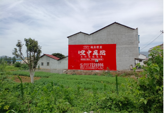 进贤做墙体广告的意义