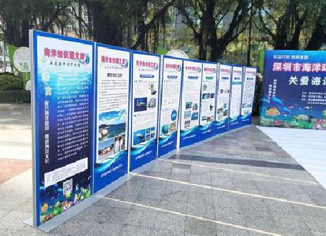 进贤KT板的种类和知识。